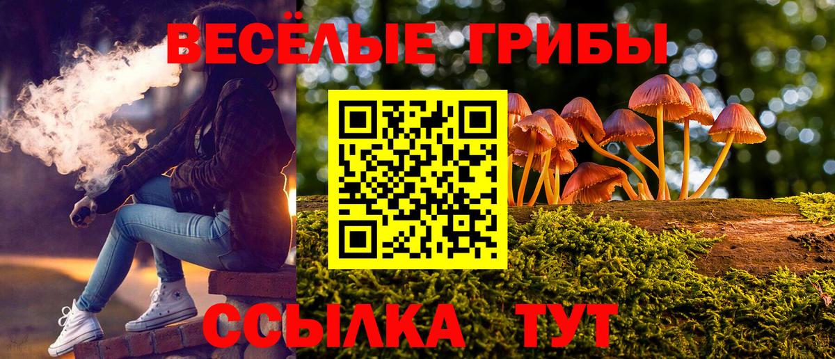 Псилоцибиновые грибы мицелий Красноярск