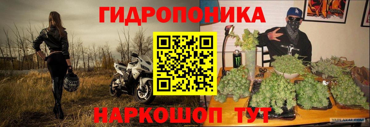 Каннабис планчик Красноярск
